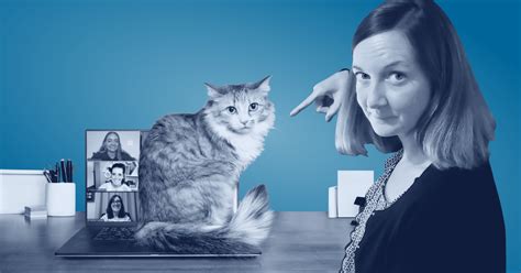 Virtual Work Mishaps 的图像结果