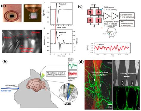 Advances in Magnetoresistive Biosensors