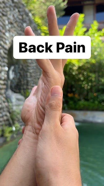 german homeopathic medicine for back pain