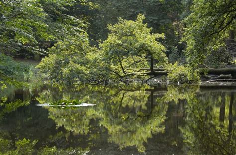 电影森林创意活动网站 探索日本自杀森林 - 活动网站 - 网络广告人社区