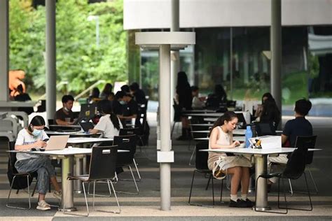 新加坡人有多重视大学文凭？八成民众认为是成功的关键_新加坡_新闻_华人头条