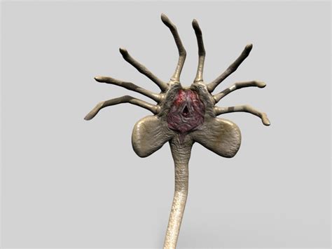 Alien Xenomorph Face 的图像结果