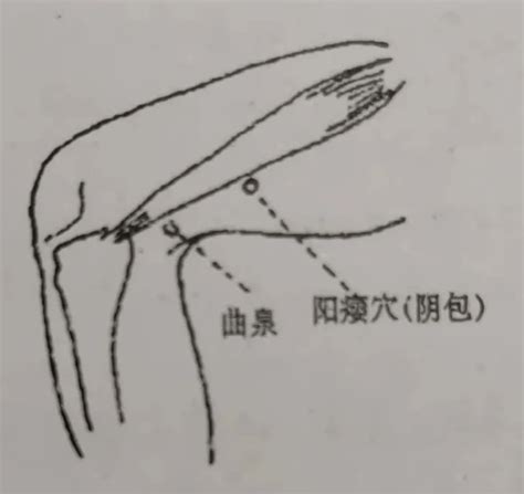 古代中医针灸穴位图,老照片,纪实摄影,摄影素材,汇图网www.huitu.com