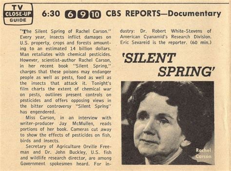 Silent Spring 的图像结果