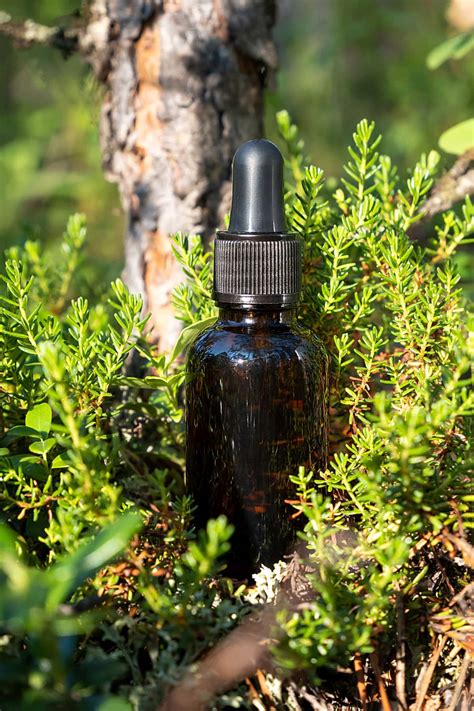 Can You Use Niacinamide With Vitamin C? - Healthier Steps