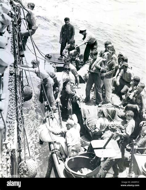 Uss Indianapolis Tragedy