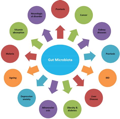 Gut Microbiota: A Future Clinical Magic Bullet to Manifest Pathogenic ...