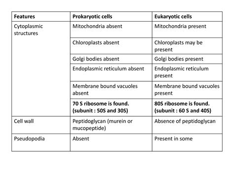 Cell and cell theory | PPTX