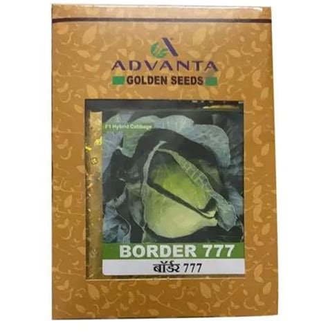 advanta upl hybrid golden BORDER 777 QUALIFLOWER seeds 50 pcs – resetagri