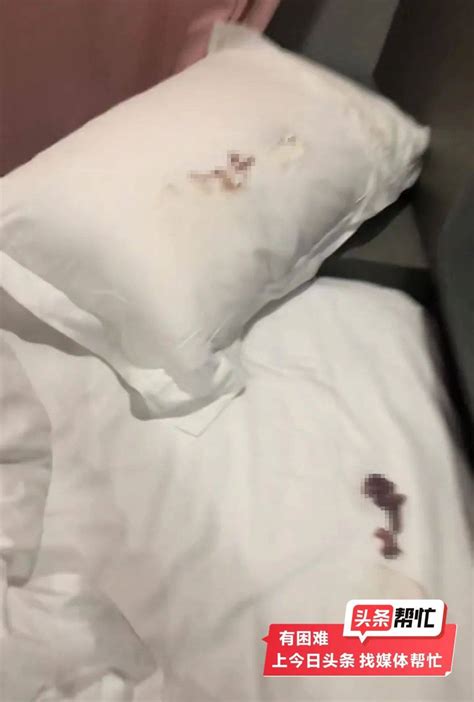 客人在酒店枕头下发现小老鼠，工作人员：已更换房间_凤凰网视频_凤凰网