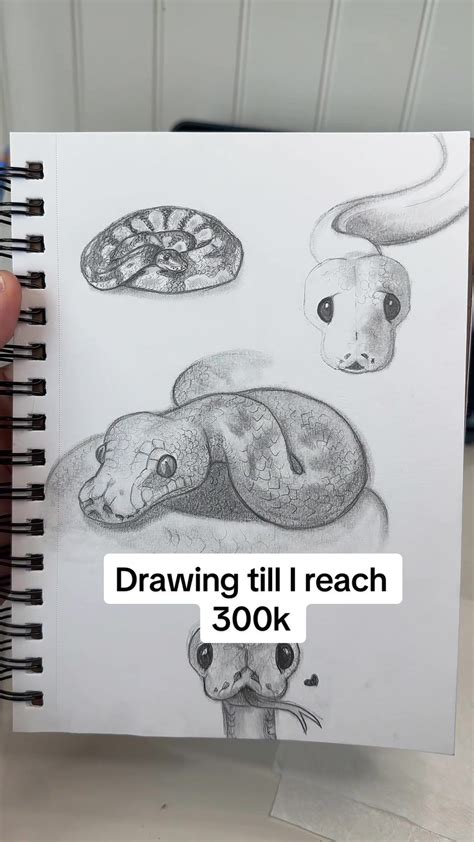 Image result for How to Draw a Ball Python Step by Step