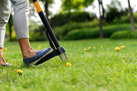 Concreate Weeding Tools 的图像结果