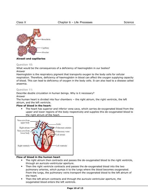Image result for Class 10 Science Life Process NCERT Tutorial