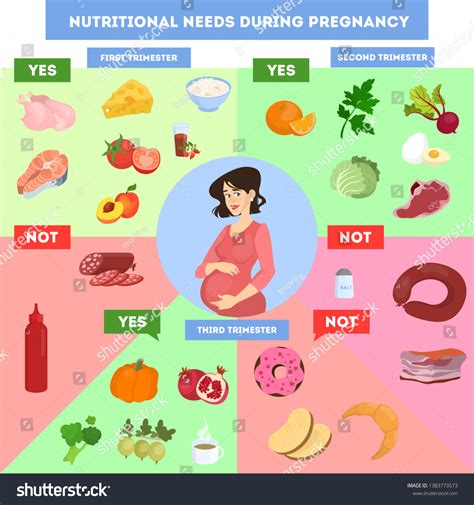 Nutrition Infographics Pregnant Woman Healthy Diet Stock Vector (Royalty Free) 1383773573 - importance of nutrition in pregnant women