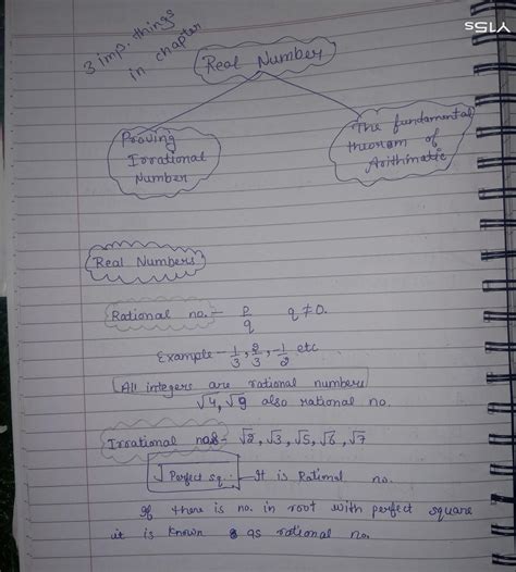 real number chapter concepts class10 - Brainly.in
