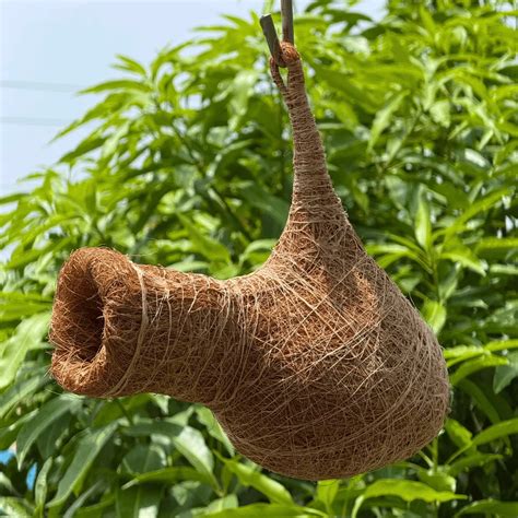 Safety Coir Bird Nest | Ropani