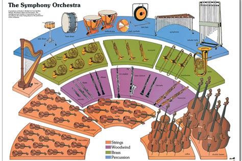 What is an Orchestra? — Skagit Symphony