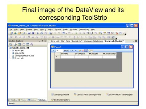 Visual Studio Code for a DataGridView 的图像结果