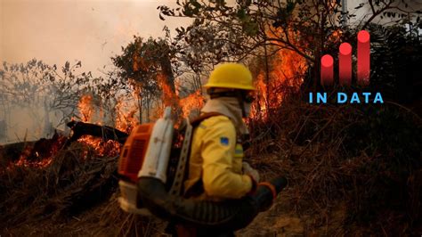 Tracking climate progress ahead of COP30 | Context by TRF