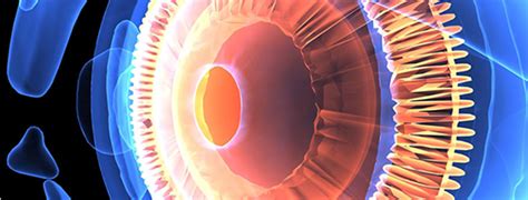 Patel Eye Care
