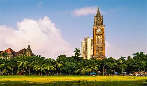 University of Mumbai to launch innovative courses in upcoming academic year