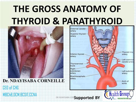 THYROID&PARATHYROID_GLAND.pdf