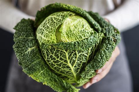 Savoy Cabbage - CookingHub