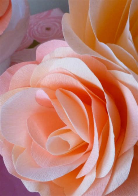 Image result for Fast Tissue Paper Flower Tutorial