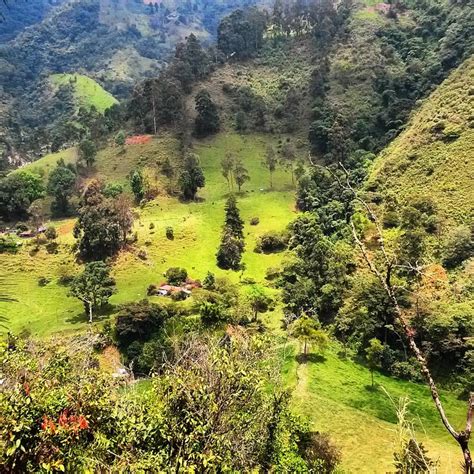 EL DESCANSO DEL VIAJERO (Ibague) - Specialty Hotel Reviews & Photos ...