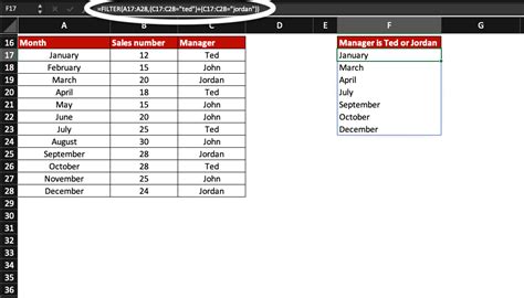 Image result for Excel Filter Formula Examples