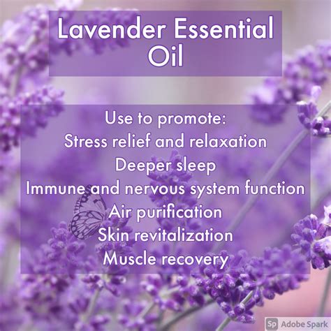 lavender aromatherapy benefits