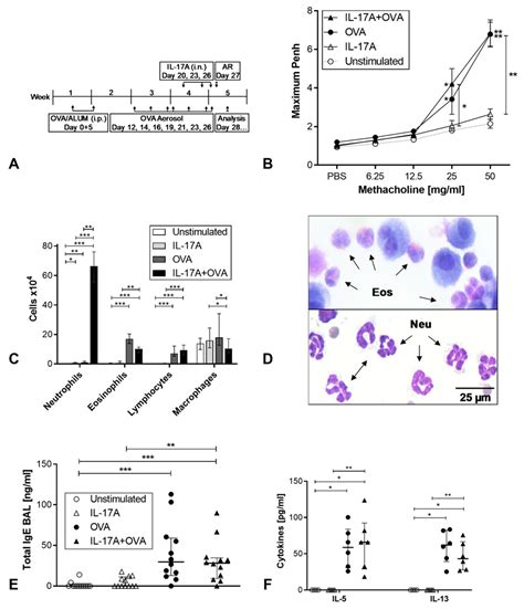 Interaction of Interleukin-17A with a Th2 Response in a Mouse Model of ...
