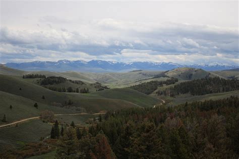 Lemhi Pass on the Idaho/Montana border in the Bitteroot Mtns