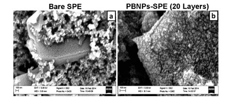 Development of a Hydrogen Peroxide Sensor Based on Screen-Printed ...
