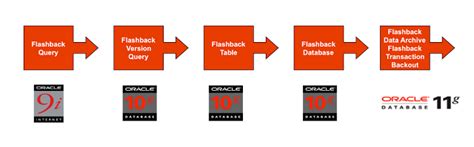 Check When Database Was Flash Back 的图像结果