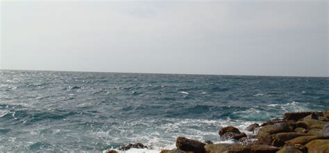 Image result for Pumping Fluids Diagram