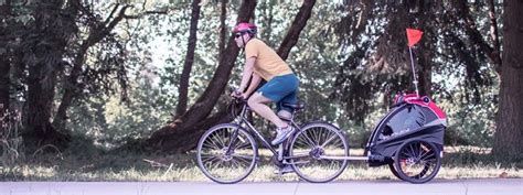 Bike Trailer Reviews 的图像结果