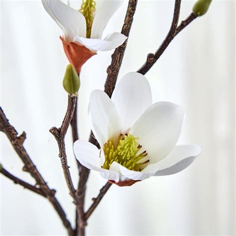 Buy Botanical Flora Artificial Magnolia Flower Stick - 80cm from Home ...