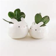 Image result for Plastic Plant Pot Bunny