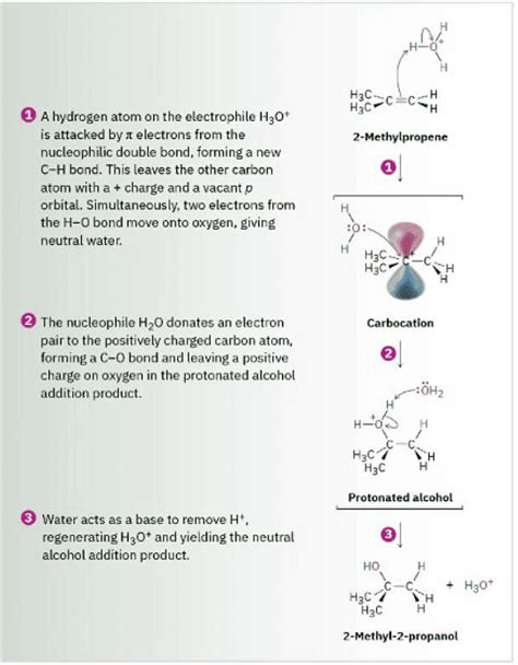 Hydration of Alkenes - Addition of H₂O by Oxymercuration - Chemistry ...
