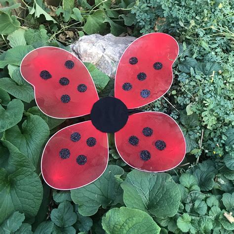 Ladybug Wings Costume