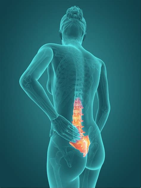 Image result for Lower Back Muscle Pain