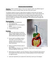 Image result for Digestive System Using Clay