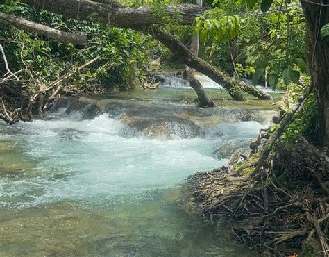 MAYFIELD FALLS & MINERAL SPRINGS ORIGINAL - All You Need to Know BEFORE ...