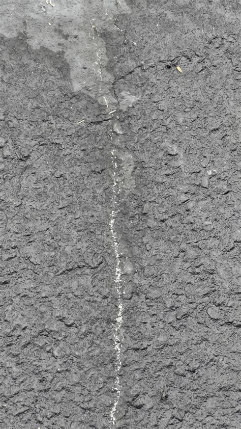 Thanks, I hate it. Fungal Gnat Larvae acting like a super organism to move faster. : r ...