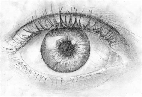 Eyeball Drawing