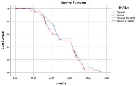 SLUG and SNAIL as Potential Immunohistochemical Biomarkers for Renal Cancer Staging and Survival