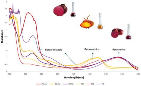 Conservation Analysis and Colorimetric Characterization of Betalain ...