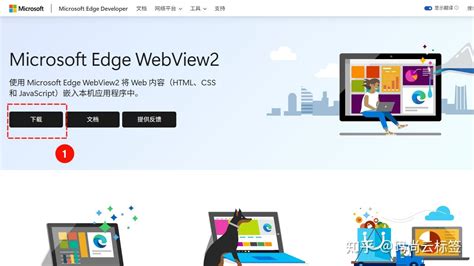 Edge WebView2 Features 的图像结果