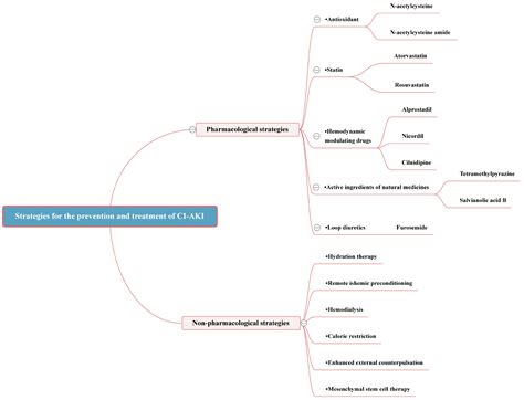 Unveiling the Mysteries of Contrast-Induced Acute Kidney Injury: New ...
